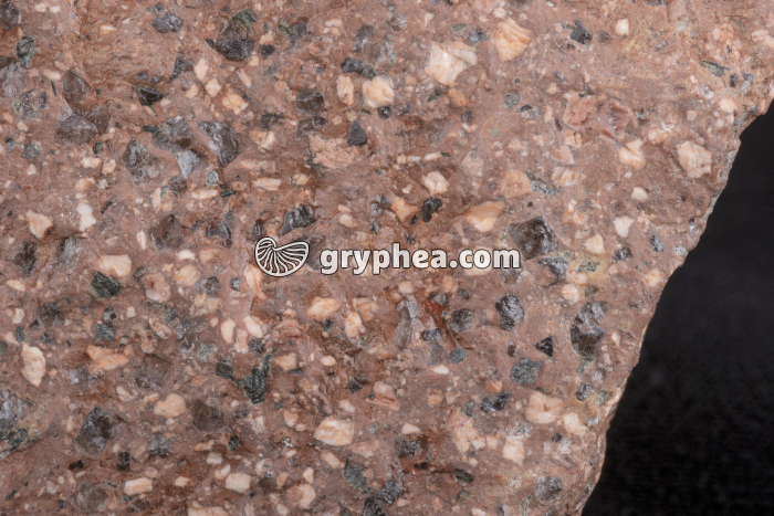 Rhyolite de l'Esterel (détail) - Provence - gryphea.org